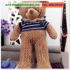 Gấu Bông Teddy Hàn Quốc - GAU89
